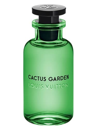 Cactus Garden